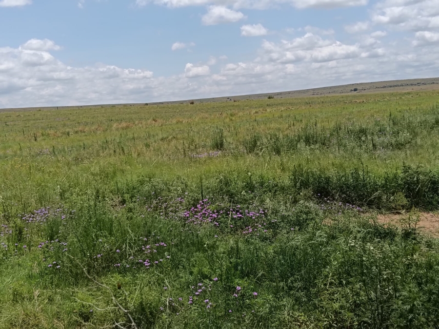 0 Bedroom Property for Sale in Lindley Rural Free State